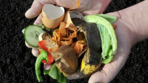 Alternatives To Traditional Composting