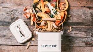 How to Make Electric Kitchen Composter ?