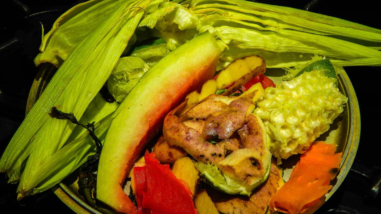 Can You Compost Kitchen Scraps?