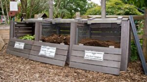 How Do You Use a Compost Bin for Beginners?