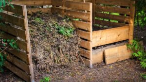 Sun Vs. Shade: The Best Spot For Your Compost Bin