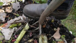 Turning Your Compost