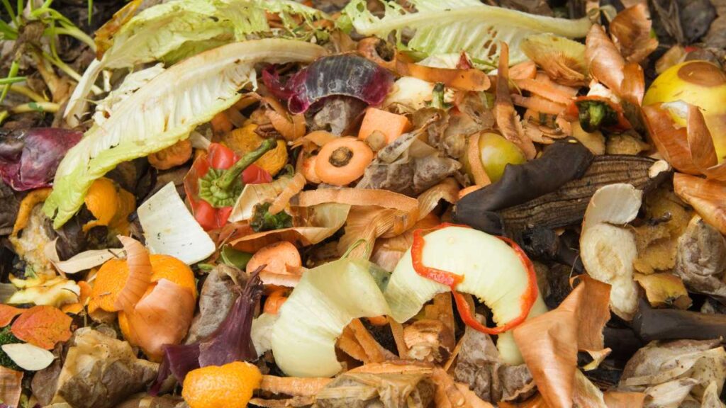 What Kitchen Scraps Can Be Composted?